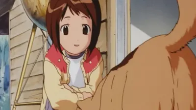 Figure 17 - Tsubasa et Hikaru Saison 1 (2001) — CinéSérie картинки