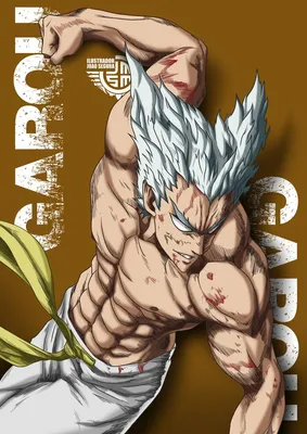 Garou One Punch Man от ilustradorjoaosegura на DeviantArt | One Punchman, Персонажи аниме, Dibujos para caratulas картинки