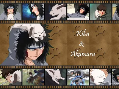 Kiba ♥ ♥ ♥ - Киба Инузука Обои (27044463) - Fanpop картинки