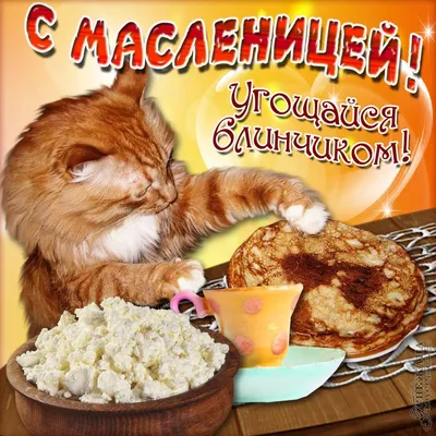 С масленницей картинки