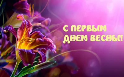 Картинки с надписями С ПЕРВЫМ ДНЕМ ВЕСНЫ! | Картинки, Надписи, Открытки картинки