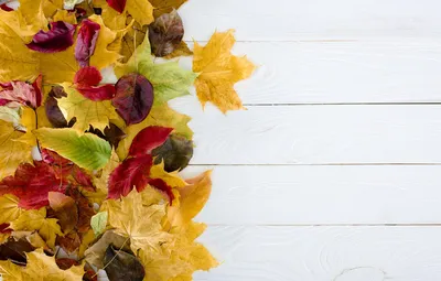 Обои осень, листья, фон, дерево, доски, colorful, wood, background, autumn,  leaves, осенние картинки на рабочий стол, раздел текстуры - скачать картинки