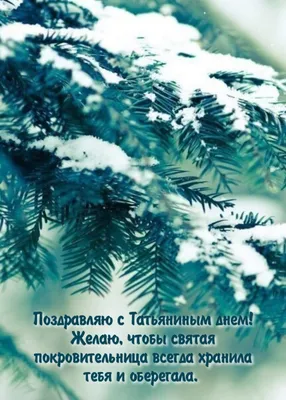 Картинки на Татьянин День (390 шт.) картинки