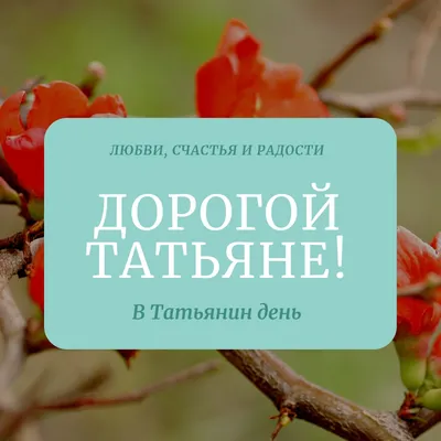 Создайте открытку на Татьянин день или День студента онлайн бесплатно с  помощью конструктора Canva картинки