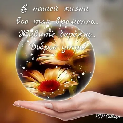 Идеи на тему «Добренькое утречко.» (7) | доброе утро, счастливые картинки,  утренние цитаты картинки