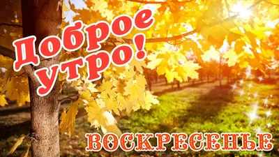 🎺 УРА ВОСКРЕСЕНЬЕ! 🎺 ДОБРОГО УТРА / ДОБРОЕ УТРО / С ДОБРЫМ УТРОМ /  ДОБРОГО УТРА ЛЮБИМОЙ / КАРТИНКИ - YouTube картинки