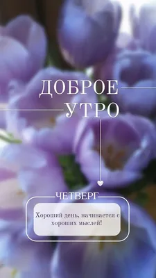 Сторис доброе утро. | Lockscreen картинки