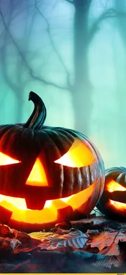 Хеллоуин (Halloween -приколы на хеллоуин - прикольные костюмы, тыквы, шутки  и юмор про хелоуин) :: продолжение в коментариях :: обои на рабочий стол ::  подборка :: праздник / смешные картинки и другие картинки