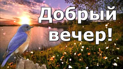 С добрым вечером! Пожелание доброго вечера! Музыкальная открытка! Добрый  вечер! - YouTube картинки