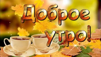 С добрым осенним утром!☕️ Отличного дня!☂️🍁 Супер Песня! Красивая  музыкальная открытка Доброе Утро! - YouTube картинки