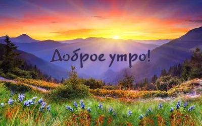 Красивые доброе утро природа картинки