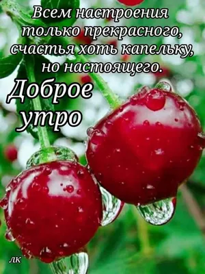 Открытки с добрым утром с природой картинки