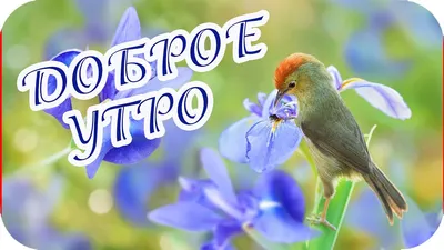 300+ красивых картинок с природой \ картинки