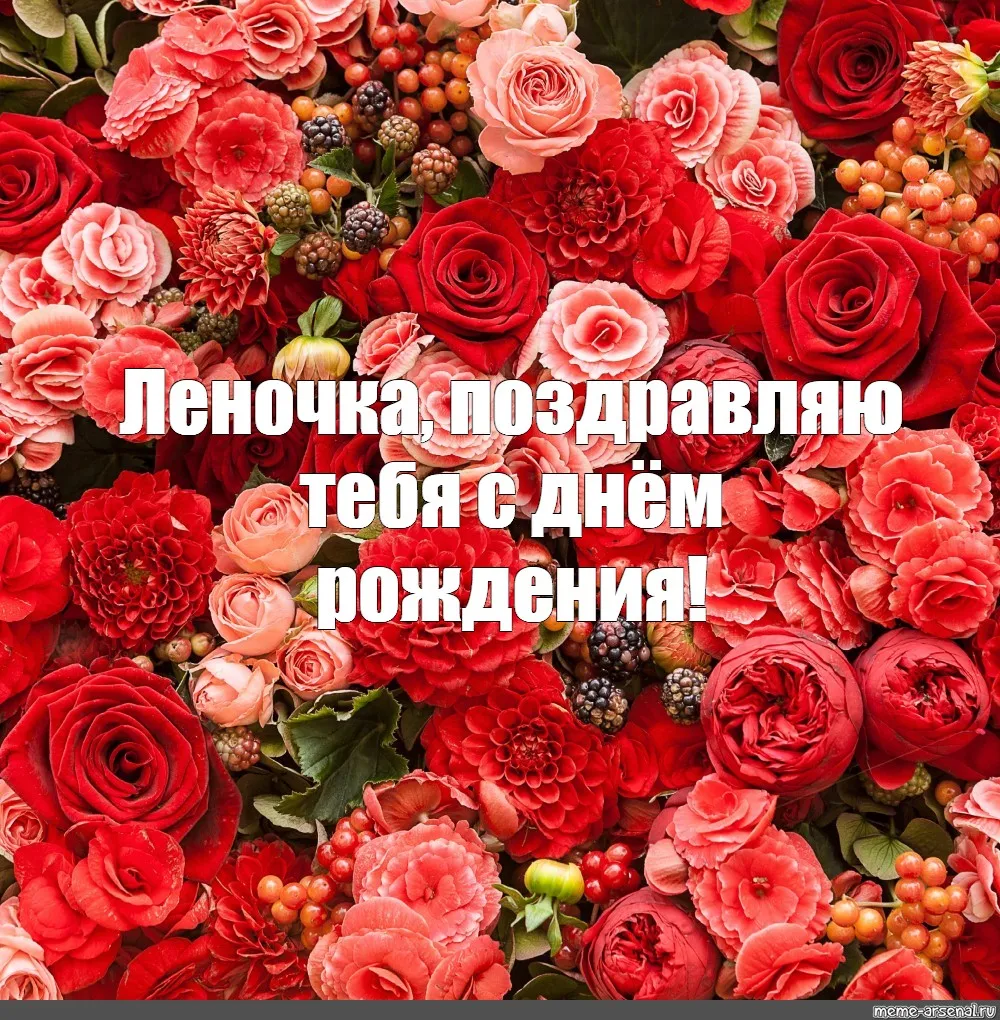С Днем Рождения Елена Дмитриевна