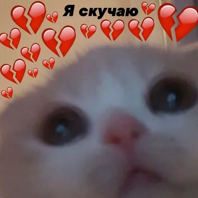 пикчи любовь эстетика сохры 21 век модники | Cute memes, Love memes, Stupid  memes картинки