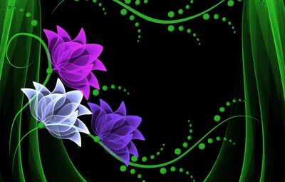 Обои цветы, vector, flowers, background, neon, неоновые картинки на рабочий  стол, раздел абстракции - скачать картинки