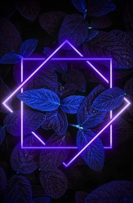 Neon leafs | Неоновые листья | Wallpaper neon, Wallpaper iphone ungu,  Wallpaper cantik iphone картинки