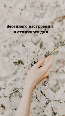 Весеннего настроения и отличного дня.... картинки