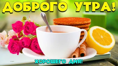 С Добрым Утром! Доброе утро с пожеланием добра, мира, отличного настроения!  - YouTube картинки