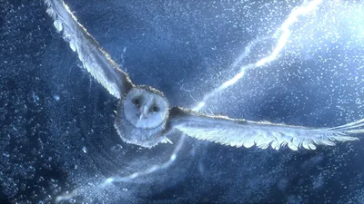 Обои Сова, полет, снег, гроза, молния, синий, птица, арт, Owl, flying,  snow, storm, lightning, blue, bird, art, Животные #1524 картинки