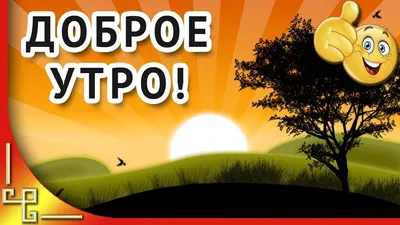 С добрым утром! Хорошего дня! | Доброе утро, С днём друзей, Видео картинки