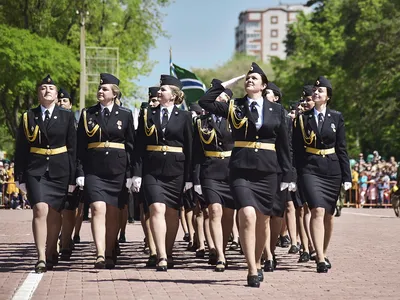 День пограничника в Благовещенске отметили цветным салютом картинки