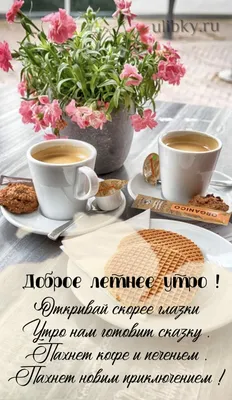 ГыГы Приколы - смешные мемы, видео и фото - выпуск №1546756 картинки