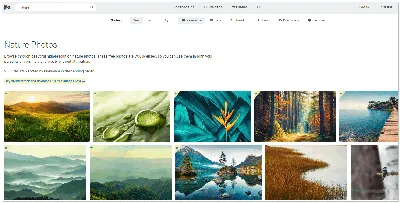 10 сайтов с бесплатными картинками и фото (без авторских прав) картинки