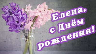 ЛЕНА С ДНЁМ РОЖДЕНИЯ! 🌺 ПОЗДРАВЛЕНИЕ ДЛЯ ЛЕНЫ / ЕЛЕНЕ / ПОЗДРАВЛЕНИЕ С  ДНЁМ РОЖДЕНИЯ 🌺 #МИЛЫЙДРУГ - YouTube | С днем рождения, Открытки, Праздник картинки