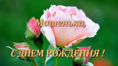 Открытки с днем рождения Маша🎉скачать бесплатно! картинки