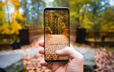 Обои Autumn, Photo, Picture, Phone картинки на рабочий стол, раздел  настроения - скачать картинки