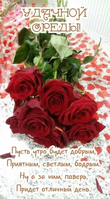 УДАЧНОЙ СРЕДЫ! 💖🌸🦋💐🌺🌿🦋🌸 ПРЕКРАСНОГО ДНЯ! 💖 | Красные розы,  Открытки, Поздравительные открытки картинки