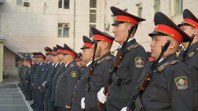 Полицейские разных стран поздравили коллег из КР с Днем милиции. Видео -  02.11.2022, Sputnik Кыргызстан картинки