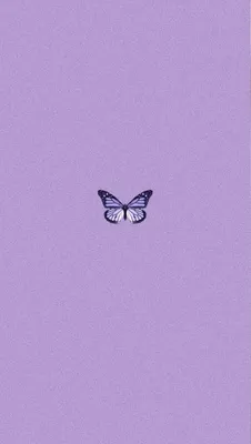 фиолетовые обои☂️ | Purple wallpaper phone, Purple wallpaper, Purple  wallpaper iphone картинки