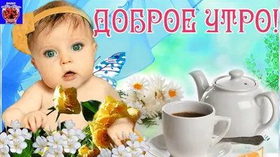 Видеооткрытка С Добрым утром! Красивая видео открытка! Доброе утро! Нежное  пожелание Доброго Утра! Хорошего дня! картинки