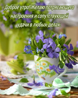 Открытки \ картинки