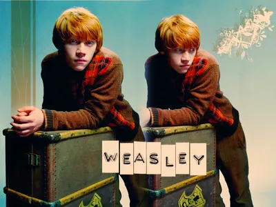 Ron Weasley - Рональд Уизли Обои (1047546) - Fanpop картинки