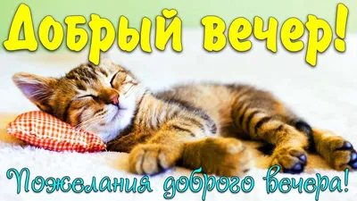 Добрый вечер! Пожелания доброго, уютного вечера и хорошего настроения!  Красивая открытка! - YouTube картинки