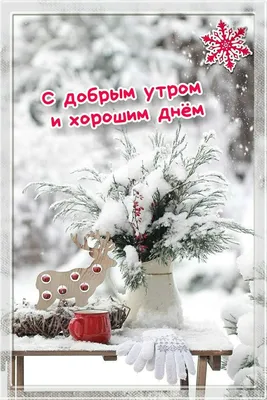 Идеи на тему «Доброе зимнее утро» (190) | доброе утро, открытки, зимние  картинки картинки