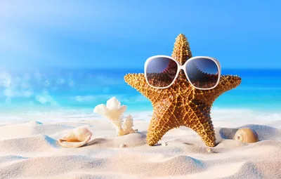 Обои песок, море, пляж, лето, звезда, отпуск, очки, ракушки, summer, beach,  sand, vacation, starfish, sunglasses, seashells картинки на рабочий стол,  раздел настроения - скачать картинки