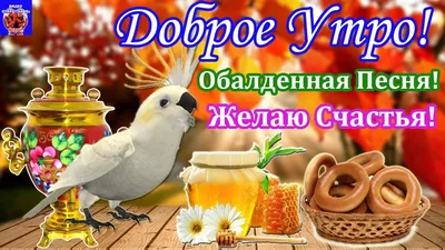 Видеооткрытка Доброе Утро! Хорошего Дня! Вот это Песня! Желаю Счастья! Для  Друзей и Близких! 23 октября картинки