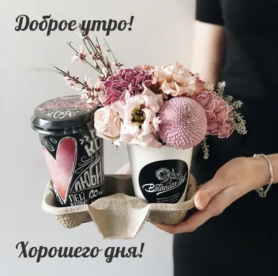 Картинка: Доброе утро! Хорошего дня! картинки