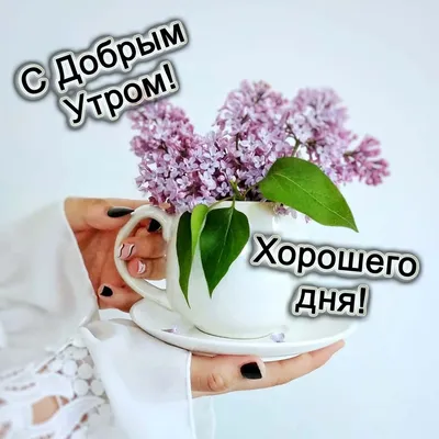 Картинки \ картинки