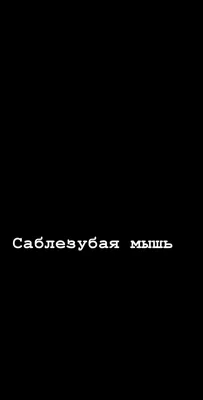 Обои с приколами | Обои, Мас обои, Забавные обои картинки