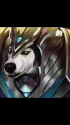 UnluckyWolf (@league_of_legendstv) в Yappy | «Люблю собачек) #лол  #лигалегенд #lol #leagueoflegends» картинки