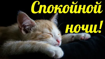 Спокойной ночи! (ТЕБЕ ОТ МЕНЯ) Красивое пожелание спокойной ночи.  Музыкальная видео открытка - YouTube картинки