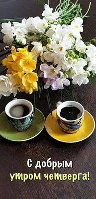 Pin by Светлана on Дни недели | Coffee breakfast, Cocoa tea, Breakfast tea картинки