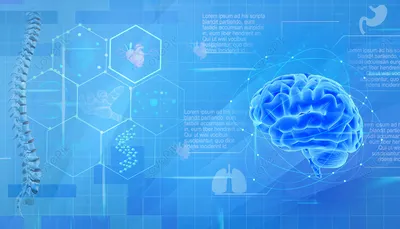 Медицинские технологии орган фон изображение_Фото номер 400083397_PSD  Формат изображения_ru.lovepik.com картинки