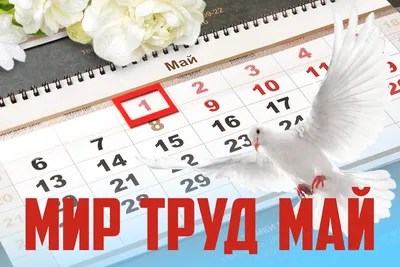 Мир. Труд. Май. картинки