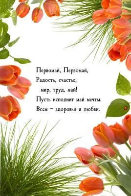 Картинки с надписями. Первомай, Первомай, радость, счастье, мир, труд, май!. картинки